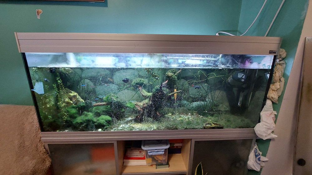 Акваріум 200 л з тумбочкою і обладнанням б/у