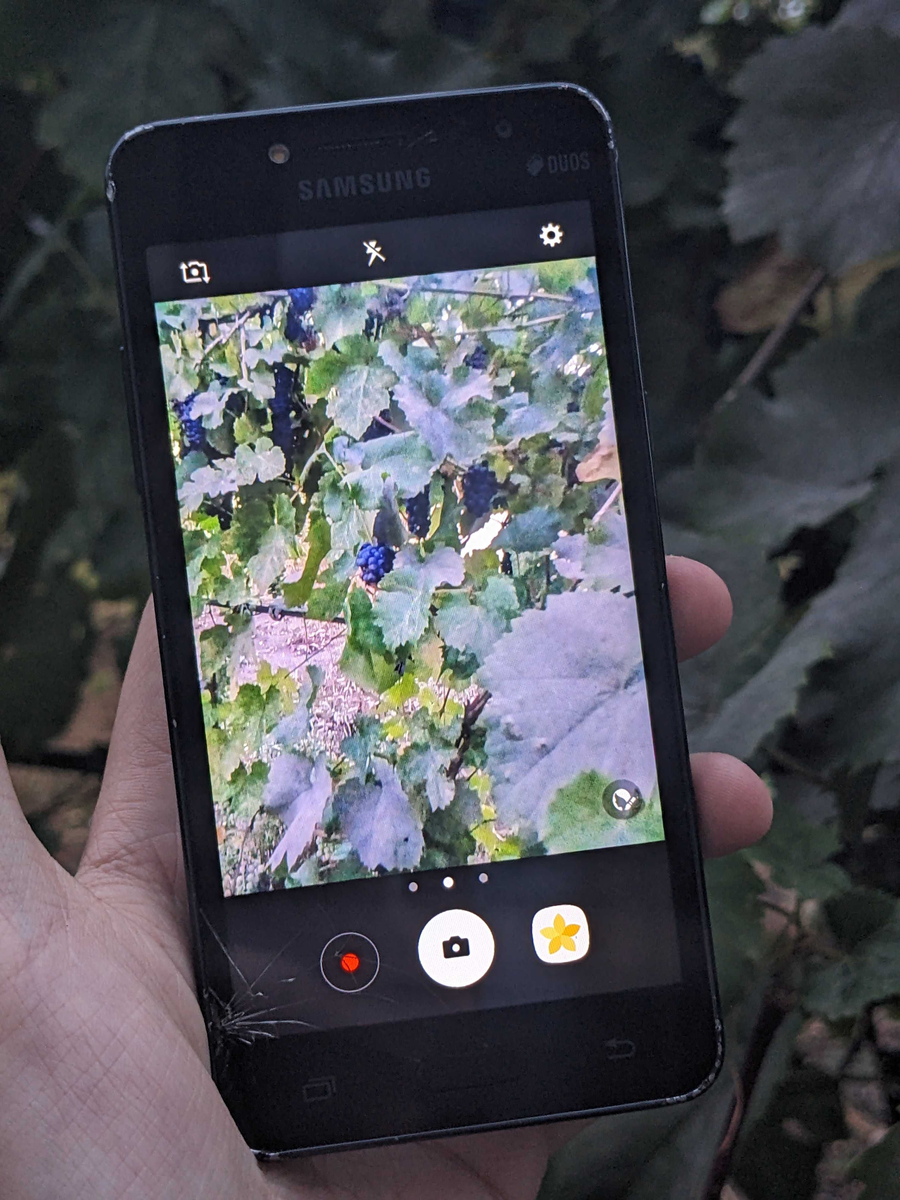 Samsung J3  2016