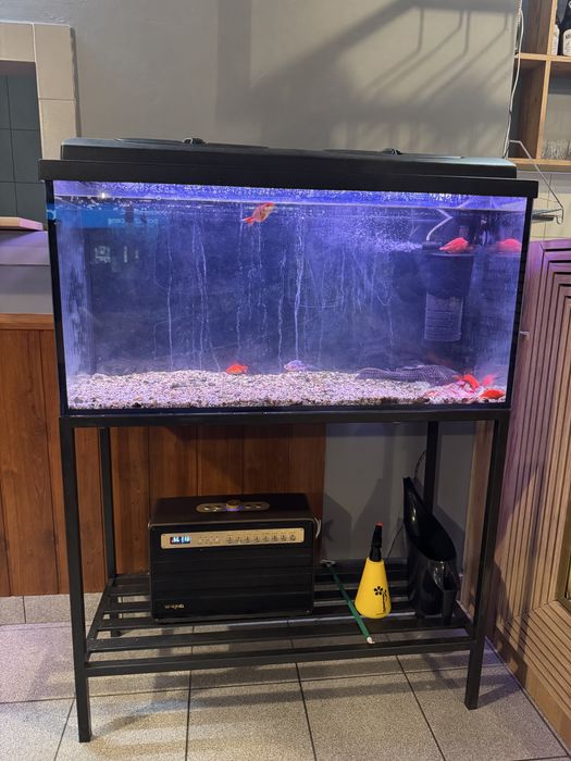 Zestaw Akwarium 100 x 50 x 40 200L, filtr i stelaż