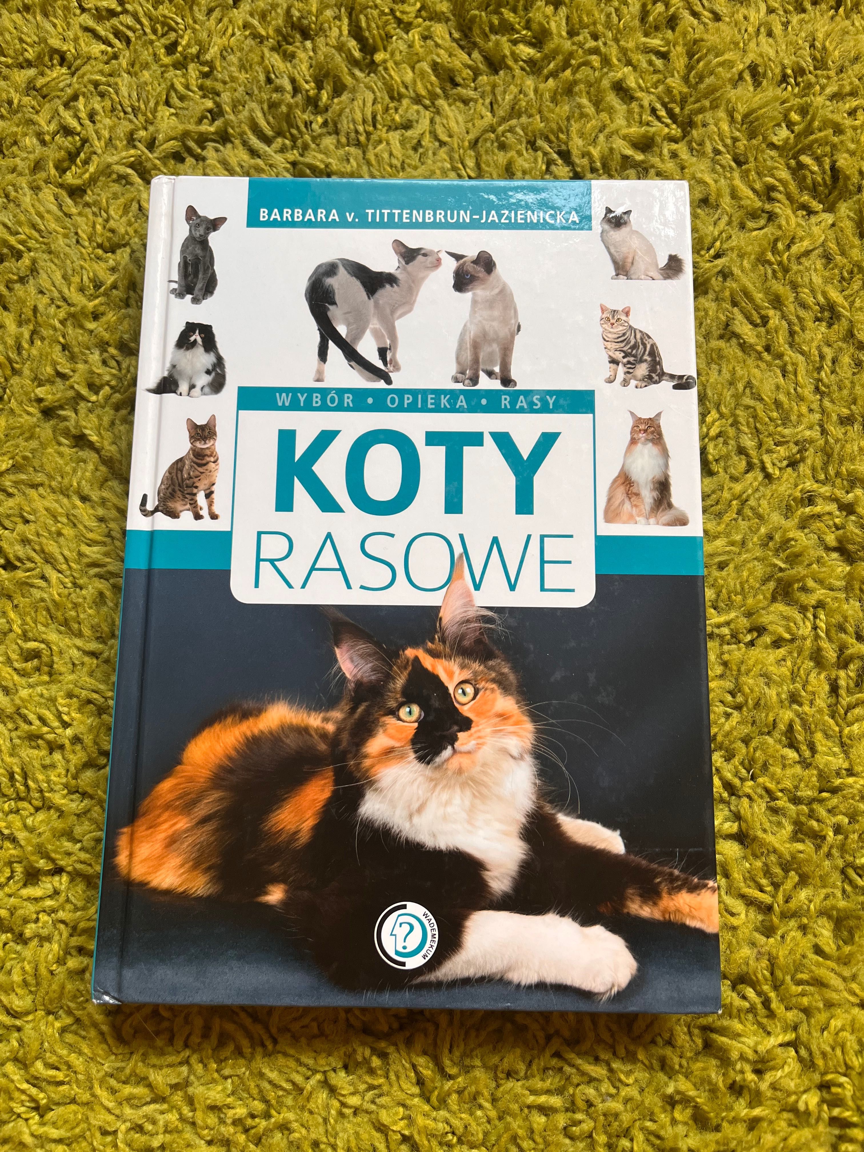 Koty rasowe książka