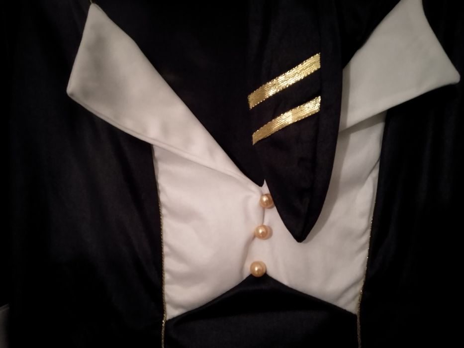 Disfarce de Hospedeira de Bordo