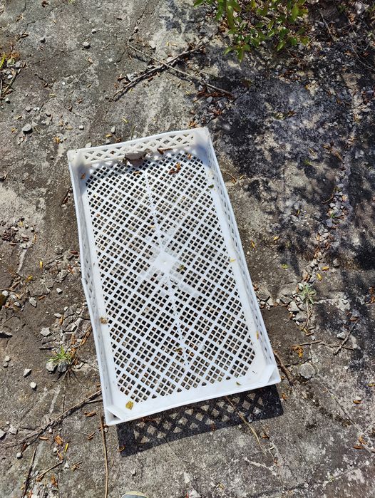 Pojemnik Plastikowe Skrzynki na owoce, do suszenia ziół itp.