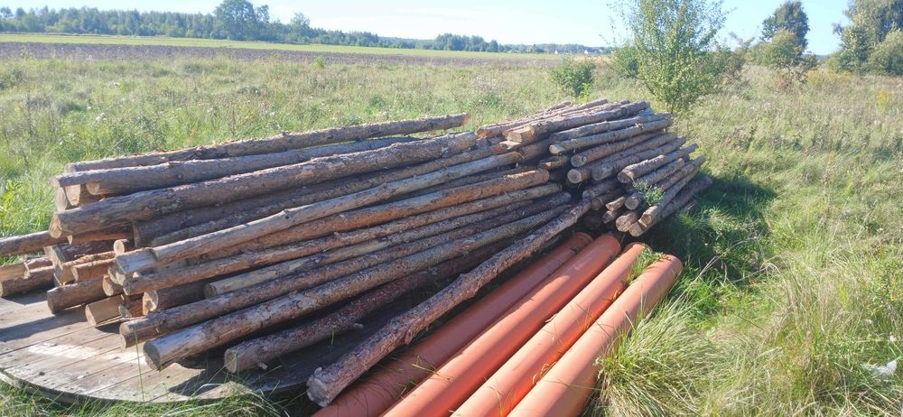 Stemple budowlane (ok 130 szt.) Dowóz w obrębie 20km GRATIS