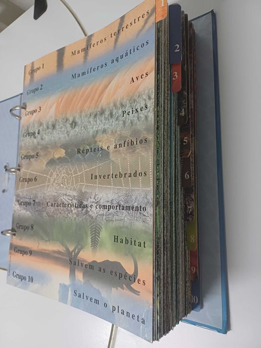 O Fascinante Mundo Animal 1 volume