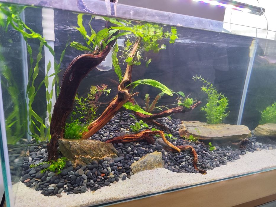 Zestaw akwarium 54L filtr kubełkowy FLUVAL