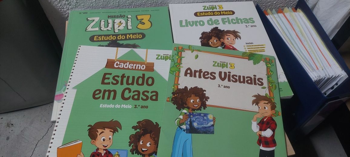 Livro Fichas e Manuais Escolares 3º Ano