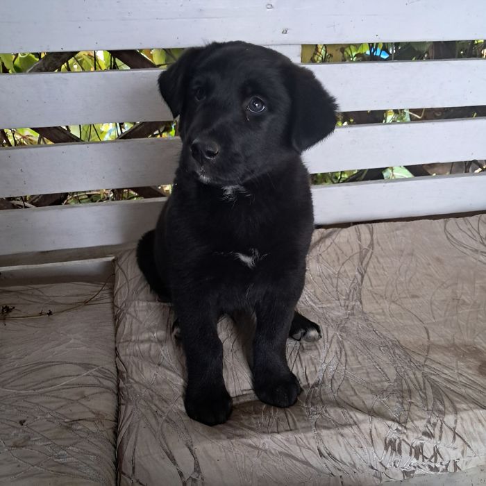 Oddam w dobre ręce!!