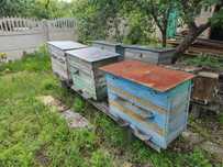 Продам вулики, медогонку та інше обладнання
