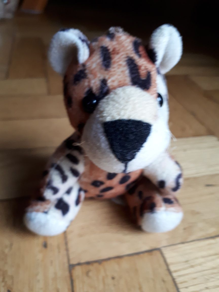 Maskotka malutki gepard