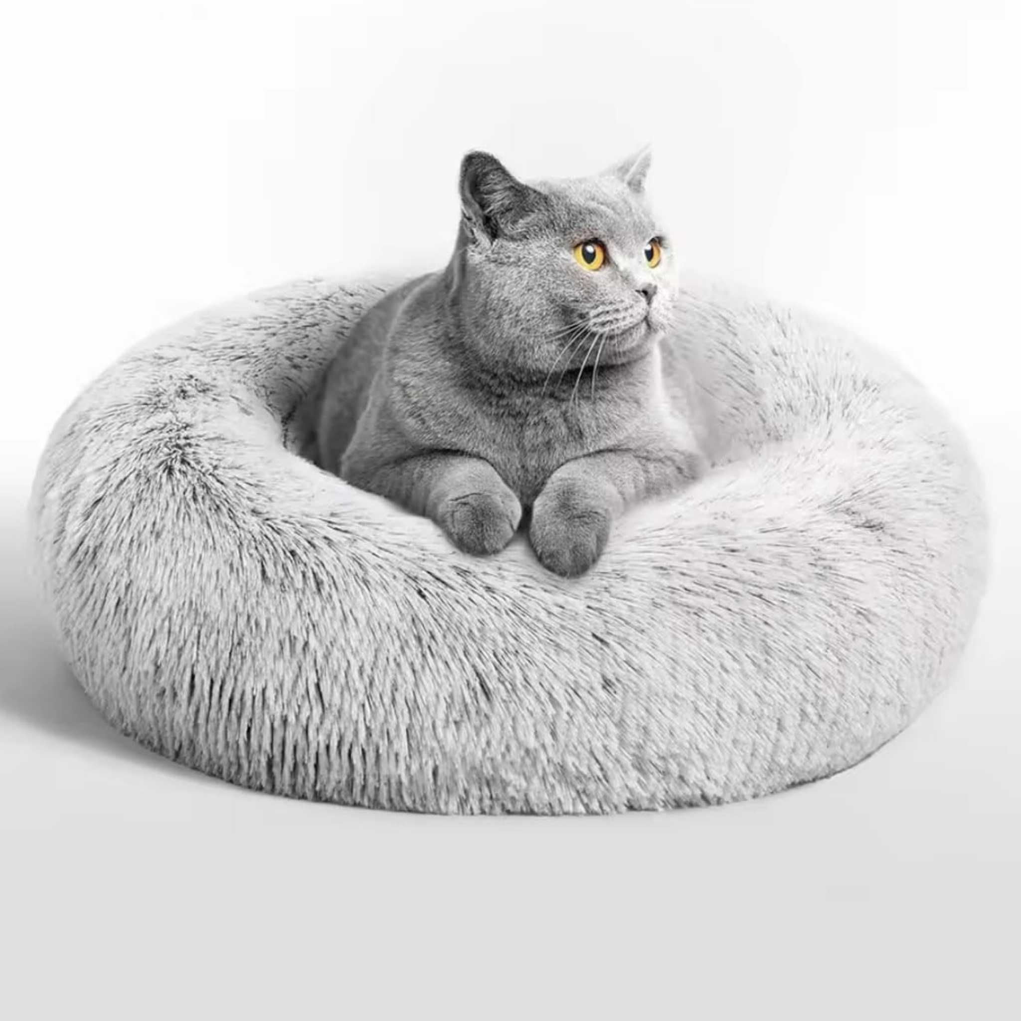 Cama relax para cão e gato com pelo