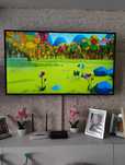Telewizor 50"Panasonic