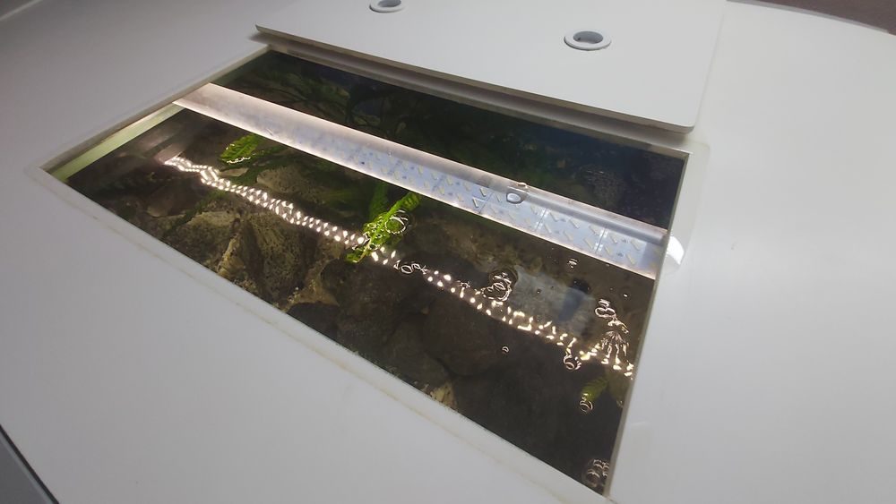 Akwarium 540L kompletne