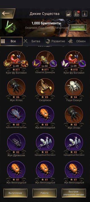 Акаунт     The Ants