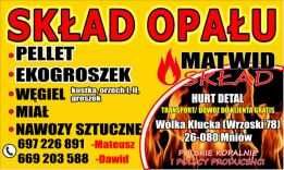 Pellet Olczyk 6mm Nowe Miasto Nad Pilicą