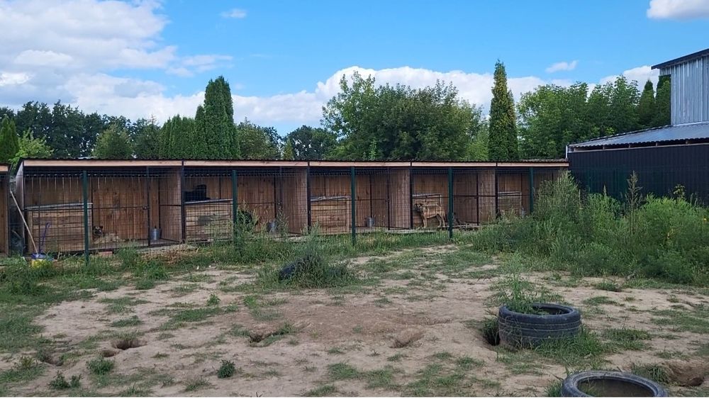 Передержка для животных