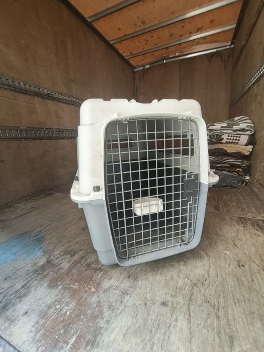 Caixa transporte cão