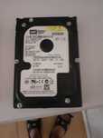 Dysk HDD WD (Western Digital) WD800 3,5" 80GB 7200obr. IDE/ATA