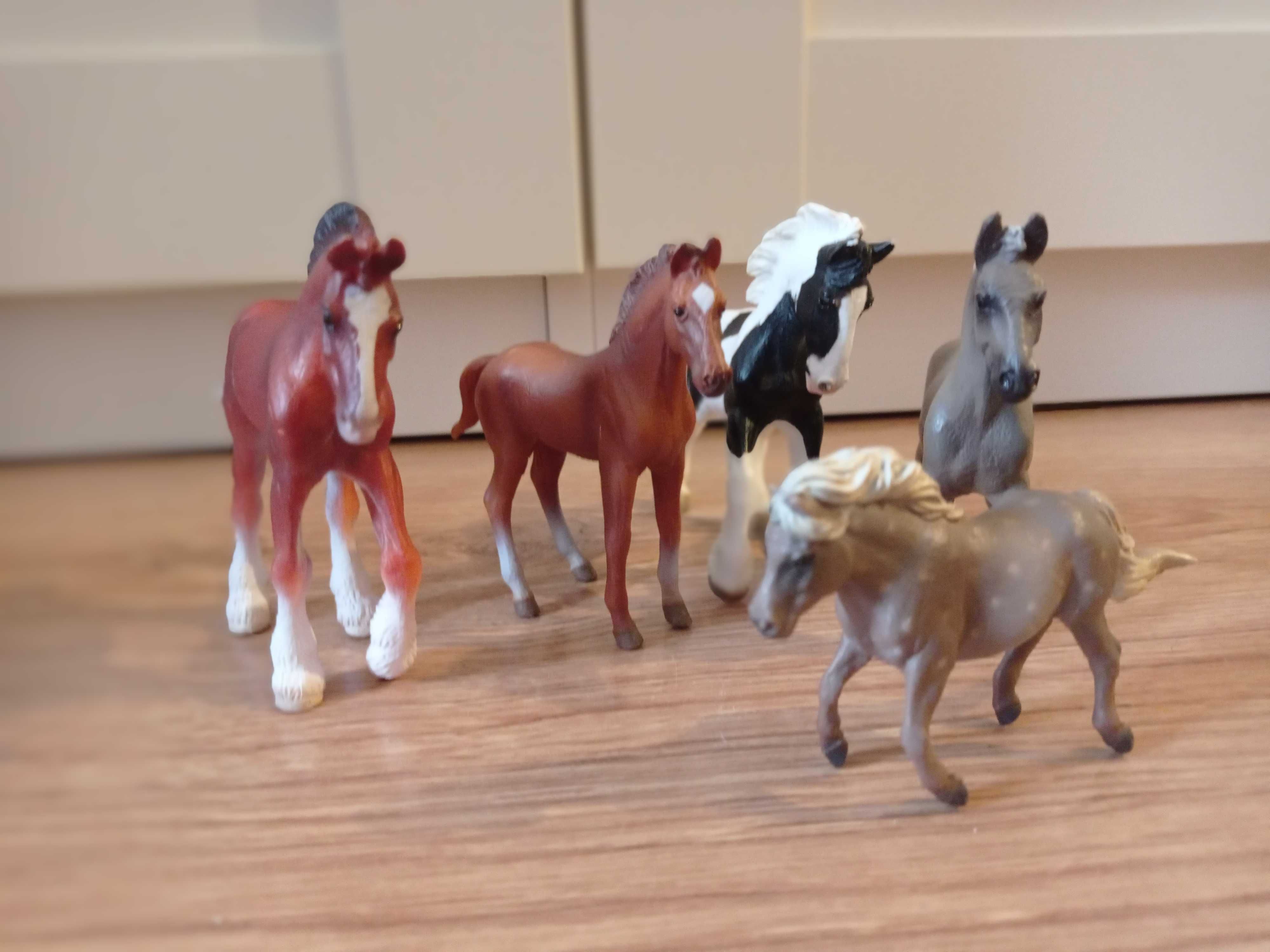 Kucyki- zestaw 5- ciu figurek z kolekcji Collecta