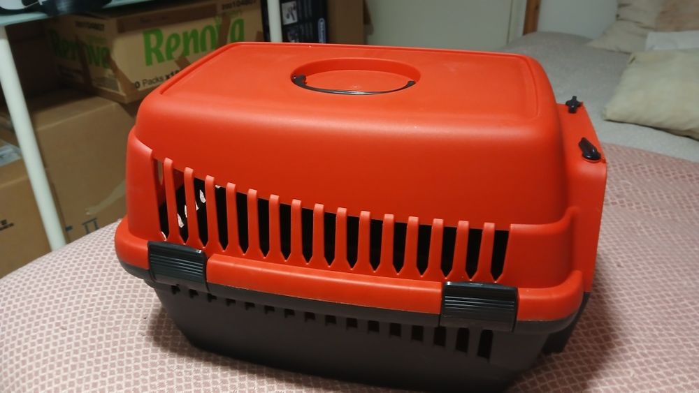 Caixa transportadora para animais usada