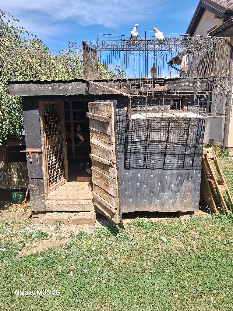 Sprzedam golebnik