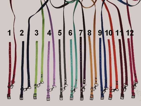 york obroża i smycz dla szczeniaka, zestaw 10 szt. kolory wyprawka