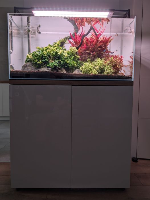 Akwarium Aquael optiwhite High Tech 112l
