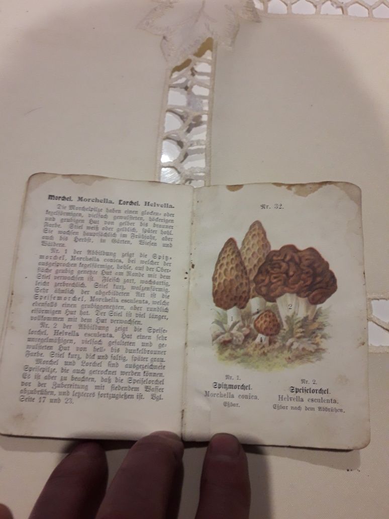 Stary atlas grzybowy Pilzkunde H.BLUCHER