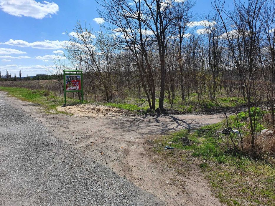 Земельный участок возле базы Соича в сосновом лесу на берегу