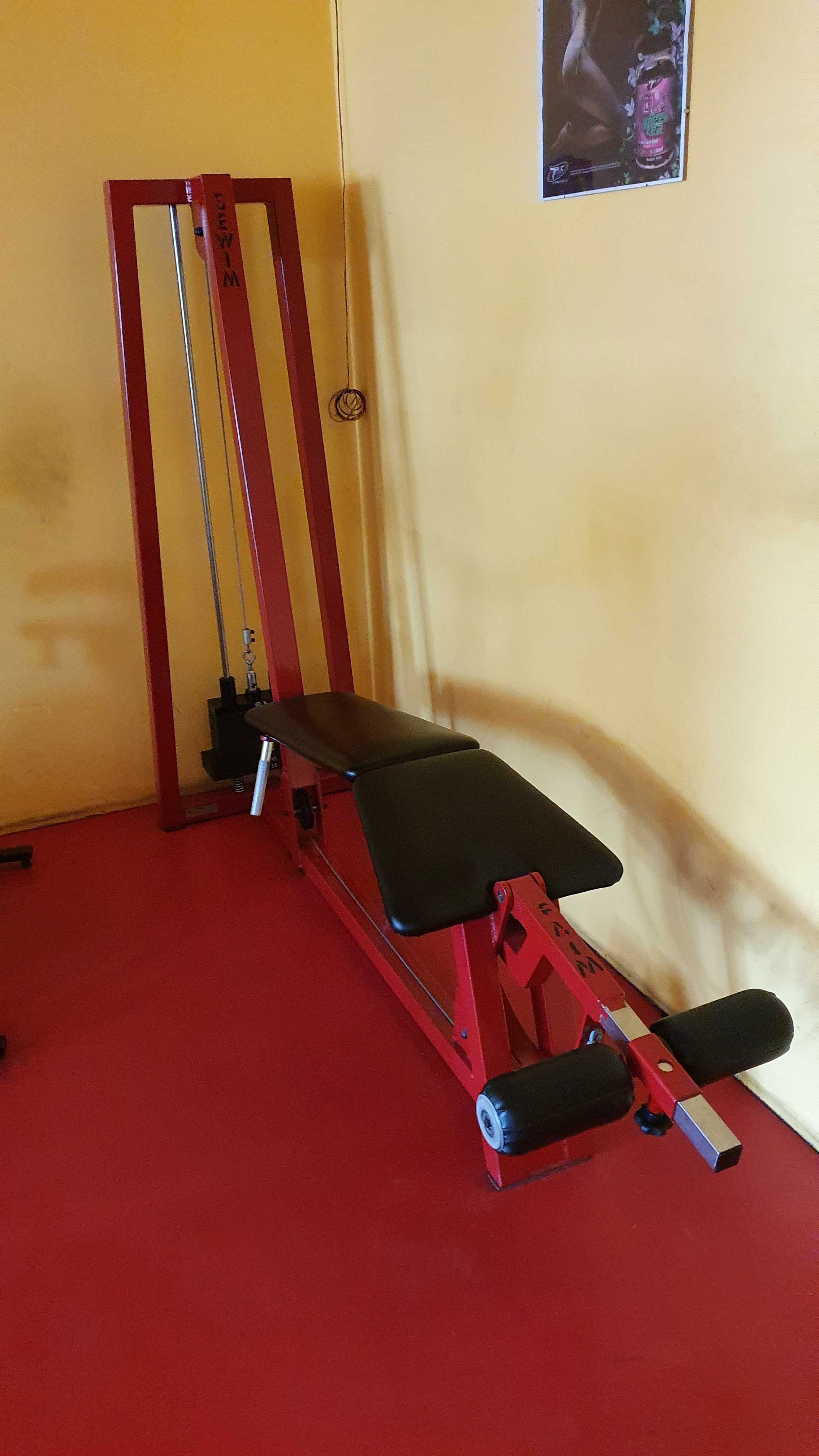 SEWIM E0505-0 - Maszyna do ćwiczenia mięśni uda leżąc.