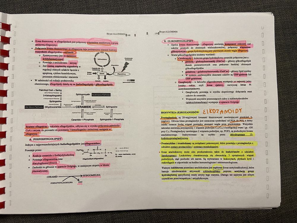 Allchemia skrypt, biochemia