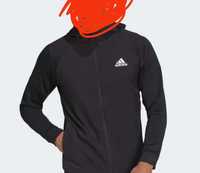 Bluza męska Adidas