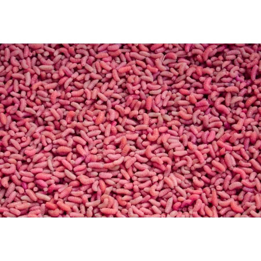 Zestaw Robaków Wędkarkich Kolorowych 6x100ml Fluo Rubin Mix