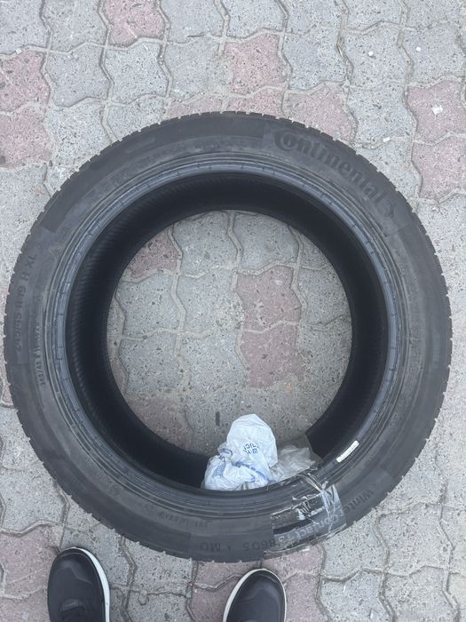 Зимова ризина r 19 Continental