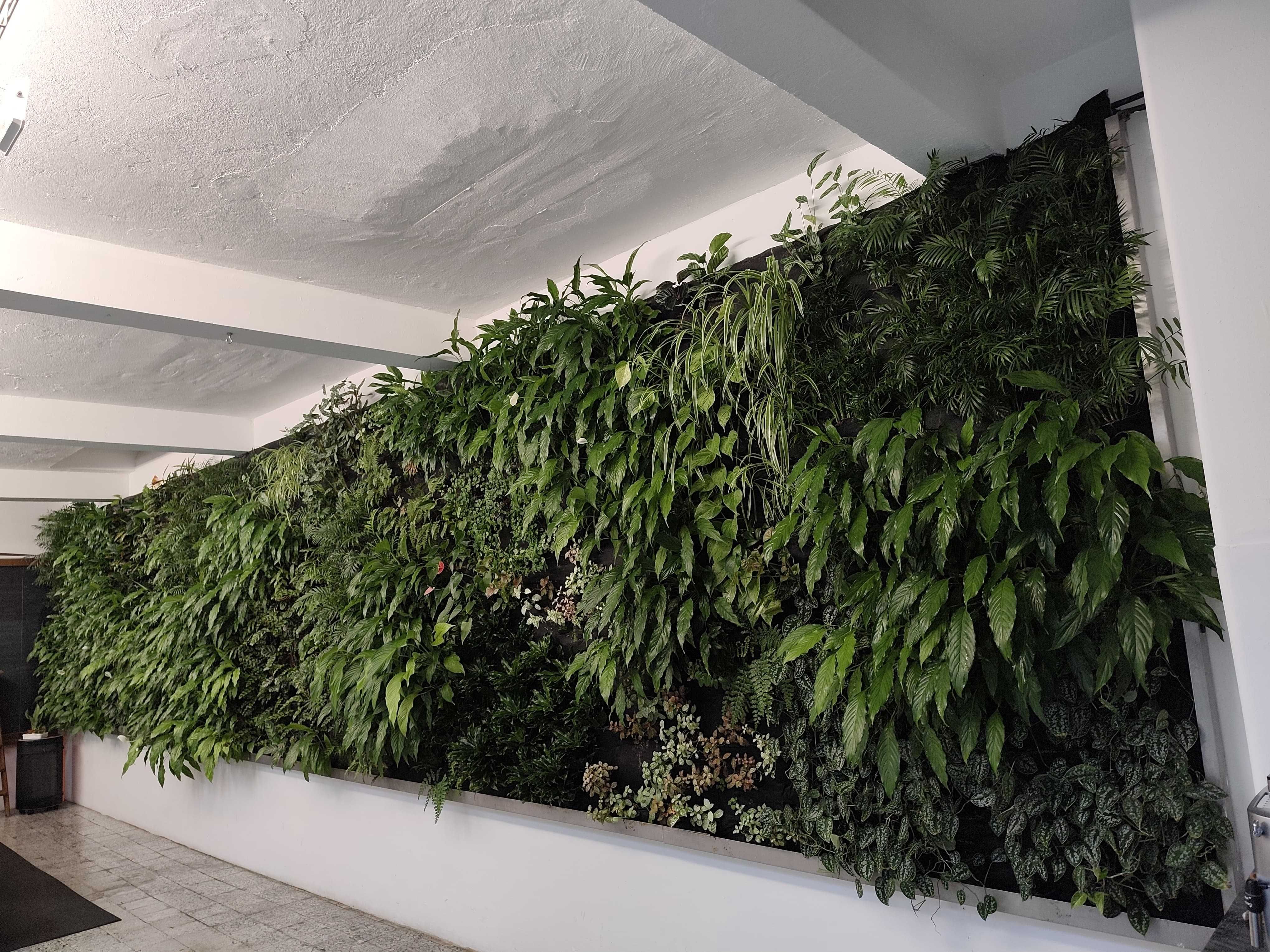 Instalação e Manutenção de jardins