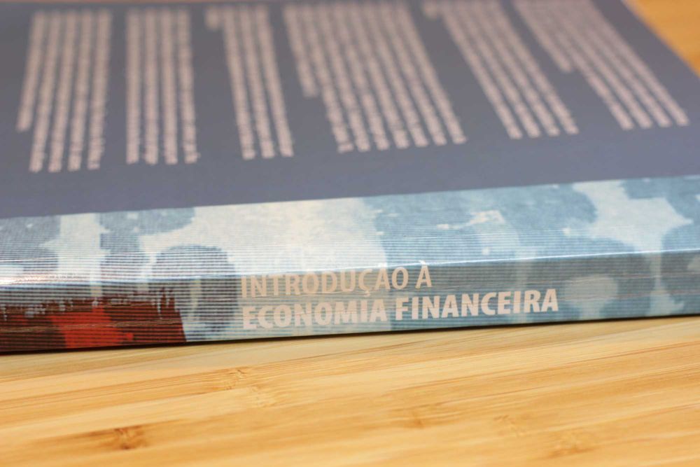 Introdução à Economia Financeira (livro em português)
