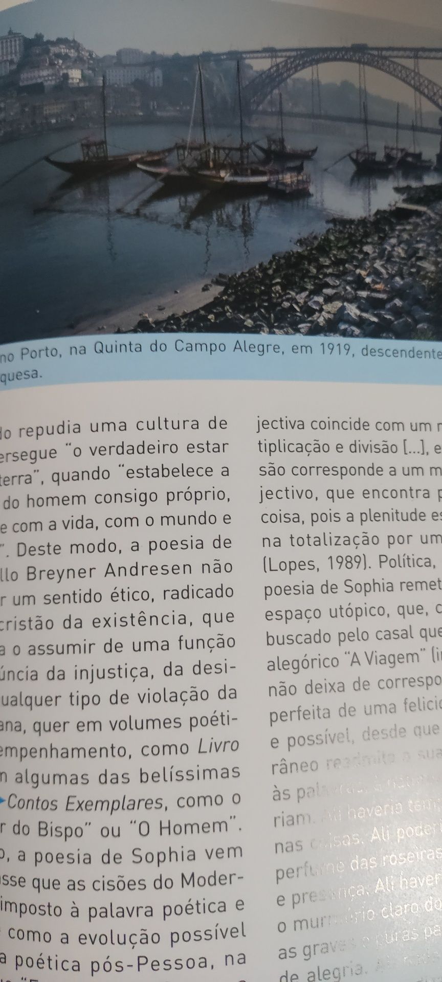 Livros , dicionário ilustrado