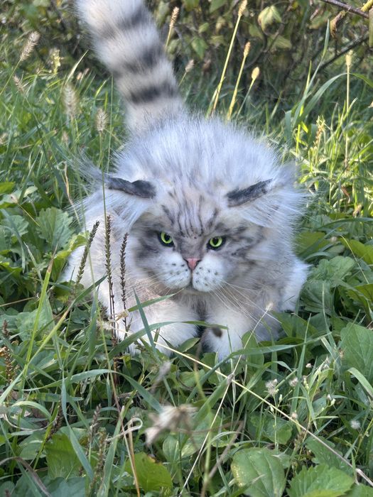 Мʼяка іграшка, ручна робота