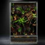 Terrarium gekon tropikalne 40x40x60
