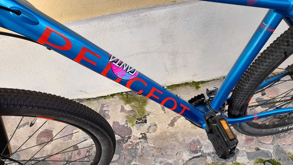 PEUGEOT M02 ALIVIO 18 rodas 29