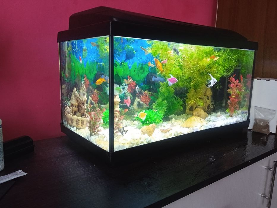 Продаж Акваріума
