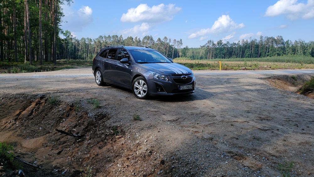 Prywatny kierowca  z autem