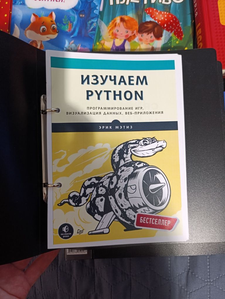 Python для детей и родителей. Играй и программируй. Брайсон Пэйн
В нал
