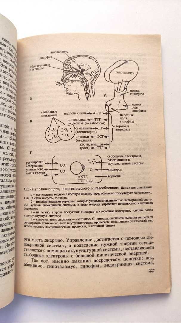 книга Малахов биосинтез и биоэнергетика т2