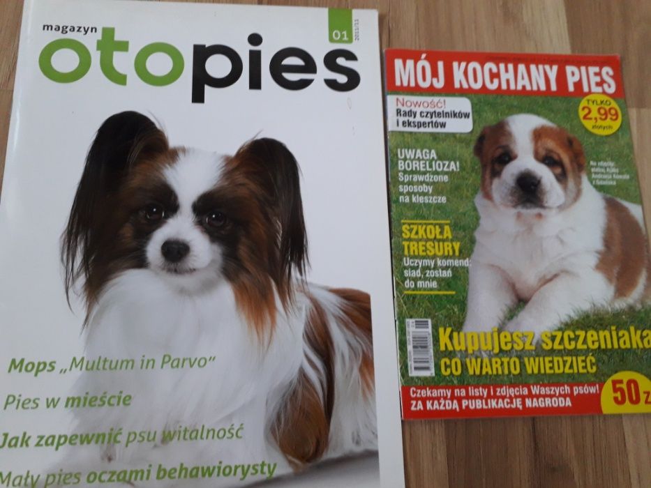 Oto Pies Mój Kochany Pies Magazyn