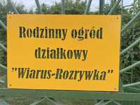 Działka rekreacyjna Siedlce - ROD Wiarus-Rozrywka