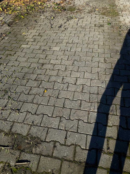 Kostka brukowa z demontażu kośc domino 6cm