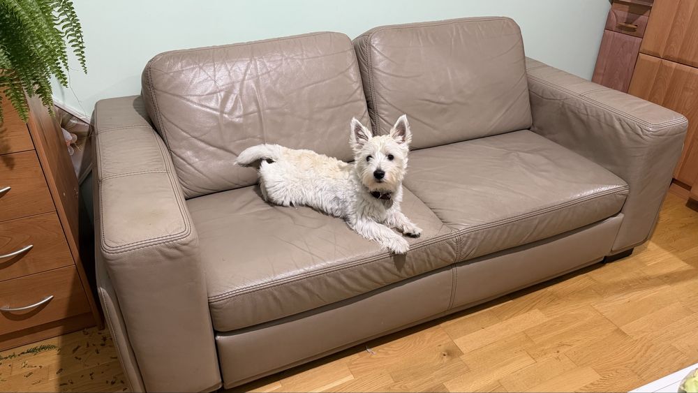 Komplet sofa i fotel