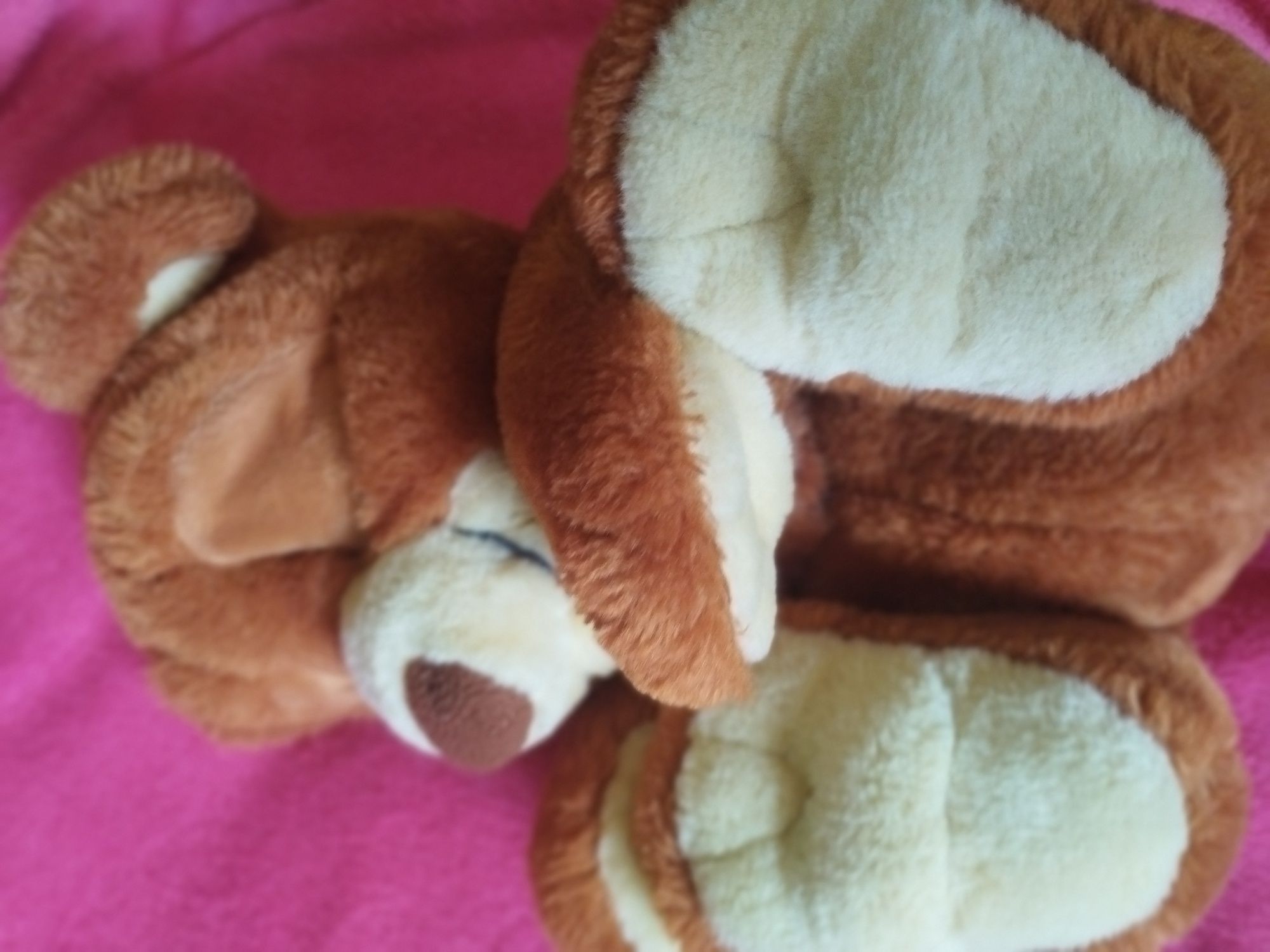 Interaktywny, cudny, miś Bruno.Emotions Pets.