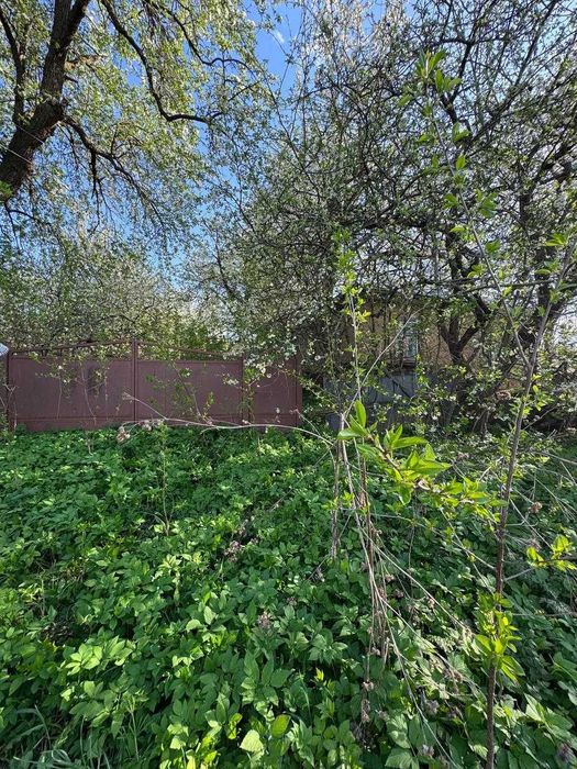 Будинок Бахматівці на ділянці 29 соток