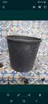 Vaso para plantas